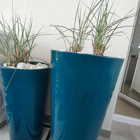 Ellenove House شقة *