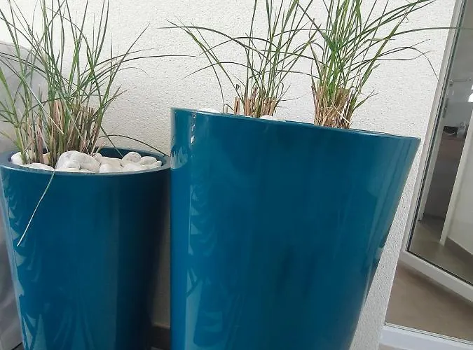 Ellenove House Apartamento *